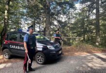 Santo Stefano in Aspromonte: Carabinieri intensificano i controlli su quad e moto da cross Carabinieri
