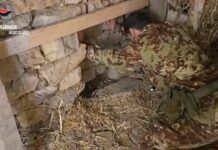 Scoperta piantagione “indoor” in un bunker sotterraneo – denunciato 67enne Carabinieri Reggio Calabria - Bunker