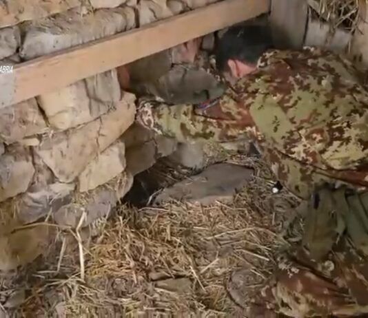 Scoperta piantagione “indoor” in un bunker sotterraneo – denunciato 67enne Carabinieri Reggio Calabria - Bunker