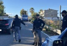 Polizia – controlli straordinari del territorio: due persone denunciate Polizia di Stato - Controlli stradali