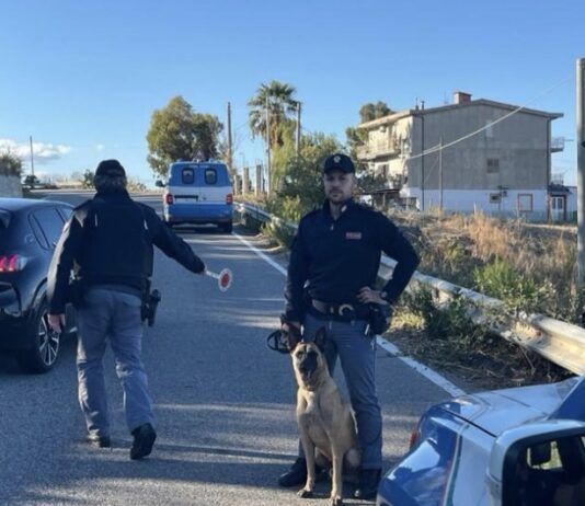 Polizia – controlli straordinari del territorio: due persone denunciate Polizia di Stato - Controlli stradali