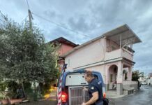 Operazione antidroga nel centro storico: arrestato un 23enne per spaccio di hashish Polizia di Stato - Unità cinofila