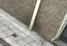 Rosarno, segnalati bocconi avvelenati in zona via Elena