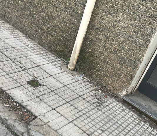 Rosarno, segnalati bocconi avvelenati in zona via Elena