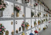 Rosarno, servizio di trasporto gratuito per anziani e disabili in occasione della Commemorazione dei Defunti