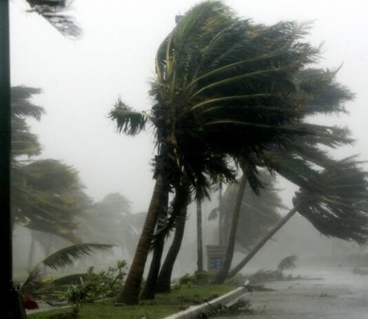 Maltempo in Calabria, vento oltre i 100 km/h tra Cosenza e Catanzaro: alberi sradicati e tetti danneggiati