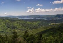Calabria virtuosa nella tutela del territorio: nel 2024 suolo consumato al 5,10%, tra i valori più bassi d’Italia