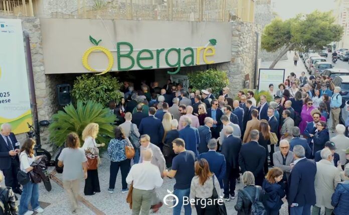 Bergare