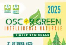Premio Oscar Green di Coldiretti Giovani Impresa Calabria: la finale regionale dedicata all’intelligenza naturale