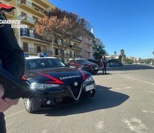 Controlli Carabinieri – un arresto, denunce e sospensione licenza Carabinieri - Cosenza