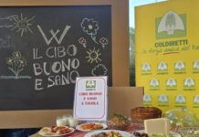 Dalla Giornata Mondiale dell’Alimentazione un forte messaggio: il cibo non è una merce qualunque, è un bene comune e non uno strumento di speculazione