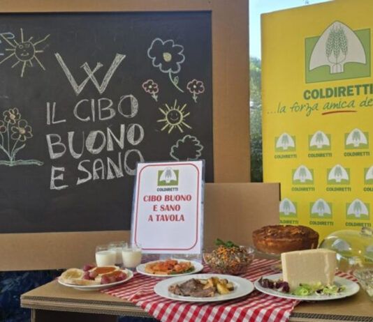 Dalla Giornata Mondiale dell’Alimentazione un forte messaggio: il cibo non è una merce qualunque, è un bene comune e non uno strumento di speculazione