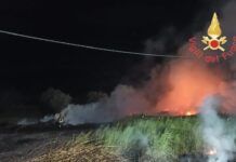 Incendio a vegetazione e rifiuti – intervento dei Vigili del Fuoco