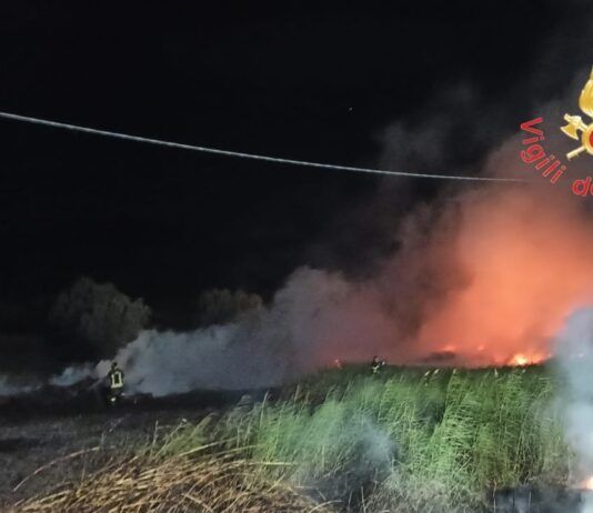 Incendio a vegetazione e rifiuti – intervento dei Vigili del Fuoco