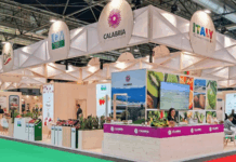 Fruit Attraction – Il Finocchio IGP di Isola Capo Rizzuto conquista Madrid Fruit Attraction - Madrid - Consorzio del Finocchio IGP di Isola Capo Rizzuto