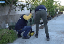 Reggio Calabria, arrestata giovane accusata di aver soffocato e occultato i corpi dei suoi figli neonati. Si cercano i resti di un terzo bimbo (VIDEO) Squadra Mobile di Reggio Calabria - omicidio neonati