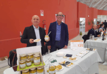 Il Finocchio di Isola Capo Rizzuto IGP protagonista a Mirabilia Food & Drink Finocchio di Isola Capo Rizzuto IGP - Mirabilia Food & Drink