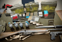 Pistole, fucili e granate nascoste in un terreno: arrestato 77enne (VIDEO) Carabinieri Zungri (VV) - Armi e munizioni