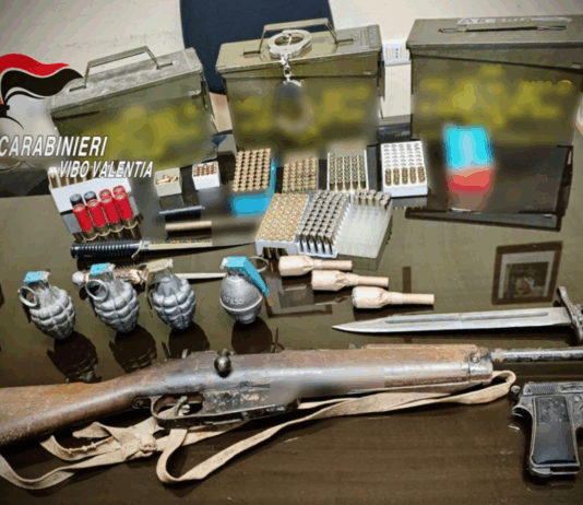 Pistole, fucili e granate nascoste in un terreno: arrestato 77enne (VIDEO) Carabinieri Zungri (VV) - Armi e munizioni