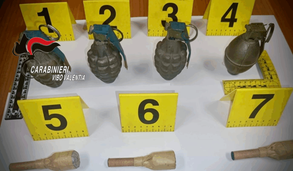 Carabinieri Zungri (VV) - Armi e munizioni