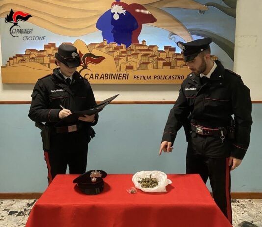 Giovane arrestato per spaccio: lancia marijuana dalla finestra durante perquisizione