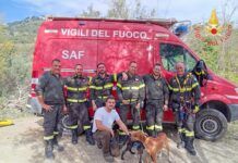Due cani precipitano in un dirupo: intervento eroico dei Vigili del Fuoco all’alba