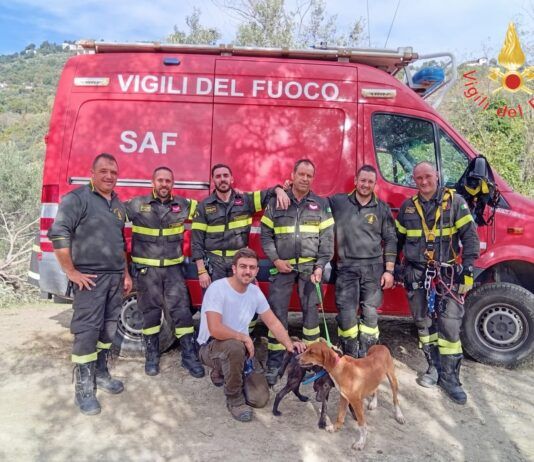 Due cani precipitano in un dirupo: intervento eroico dei Vigili del Fuoco all’alba