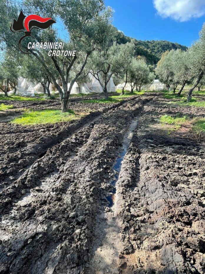 80d5a393-e70c-4c30-839b-1effc1c1d6dc