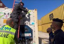 Gioia Tauro, maxi sequestro di cocaina: oltre 175 chili nascosti nei container del porto