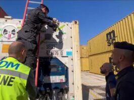 Gioia Tauro, maxi sequestro di cocaina: oltre 175 chili nascosti nei container del porto