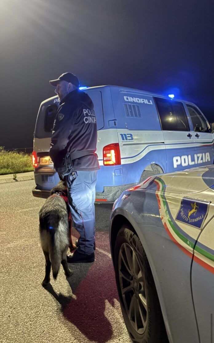 Polizia cane