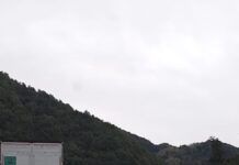 Incidente stradale sulla Strada Ionio-Tirreno: camion coinvolto e traffico rallentato