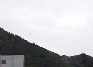 Incidente stradale sulla Strada Ionio-Tirreno: camion coinvolto e traffico rallentato