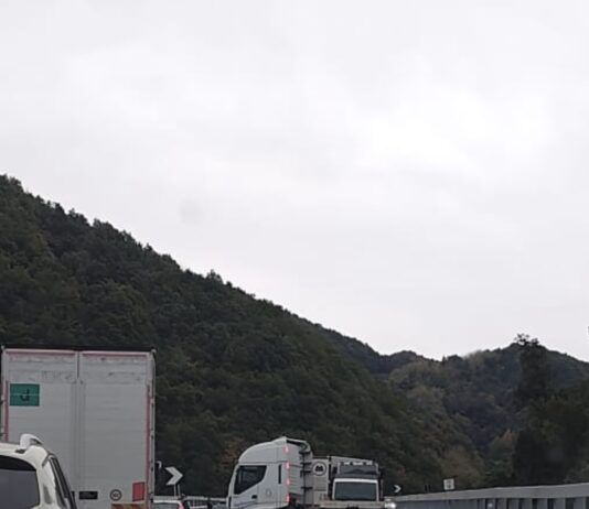 Incidente stradale sulla Strada Ionio-Tirreno: camion coinvolto e traffico rallentato