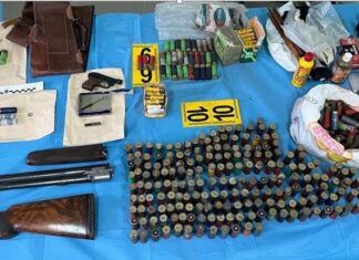 Armi e munizioni in casolari – arrestato un uomo