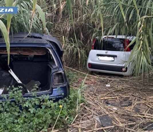 Controlli straordinari a Gioia Tauro e Rizziconi: 1333 persone identificate e recuperate auto rubate