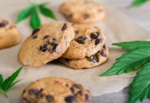 Bambino di 4 anni ricoverato dopo aver mangiato biscotti alla cannabis – arrestato lo zio: in casa serra artigianale