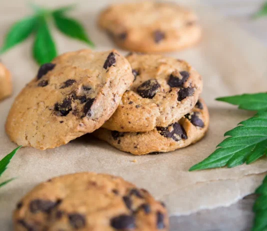 Bambino di 4 anni ricoverato dopo aver mangiato biscotti alla cannabis – arrestato lo zio: in casa serra artigianale