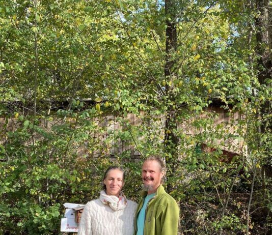 “Bambini nel bosco: allontanati per sicurezza, ma l’Italia si divide”