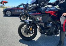 Maxi-sequestro di marijuana: i Carabinieri intercettano 13 chili di droga pronta per lo smercio