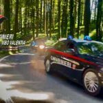 Controlli straordinari dei Carabinieri nelle Preserre Vibonesi: misura cautelare, denunce e sanzioni