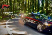 Controlli straordinari dei Carabinieri nelle Preserre Vibonesi: misura cautelare, denunce e sanzioni