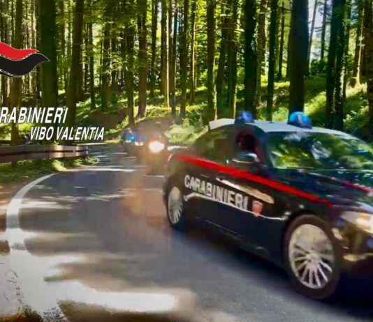 Controlli straordinari dei Carabinieri nelle Preserre Vibonesi: misura cautelare, denunce e sanzioni