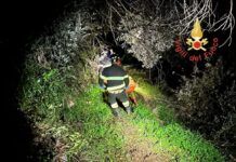 Uomo cade in una scarpata: intervento dei Vigili del Fuoco