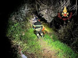 Uomo cade in una scarpata: intervento dei Vigili del Fuoco