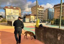 Controlli Carabinieri – Rinvenuta droga nascosta tra rifiuti, sanzioni a locali per 20mila euro