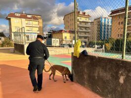 Controlli Carabinieri – Rinvenuta droga nascosta tra rifiuti, sanzioni a locali per 20mila euro