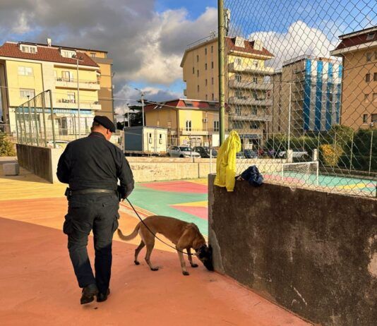 Controlli Carabinieri – Rinvenuta droga nascosta tra rifiuti, sanzioni a locali per 20mila euro