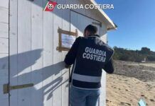 Sequestrati due chioschi e un frantoio: denunce per abusi sul demanio e violazioni ambientali