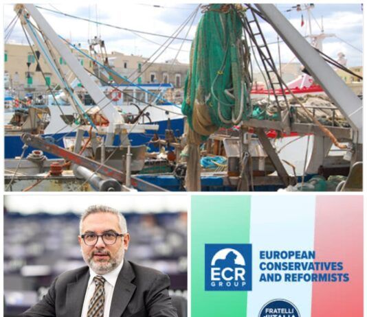 Pesca, Nesci (FdI): “Il Governo ottiene risultati concreti, chi intorbida le acque sbaglia bersaglio”